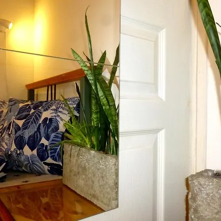 Hostel Gaia Astoria *