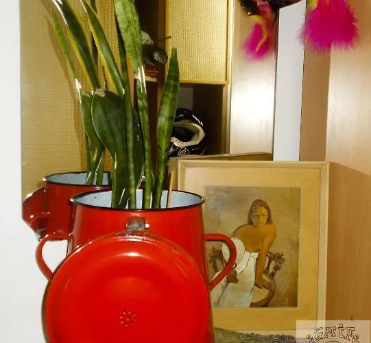 Hostel Gaia Astoria *