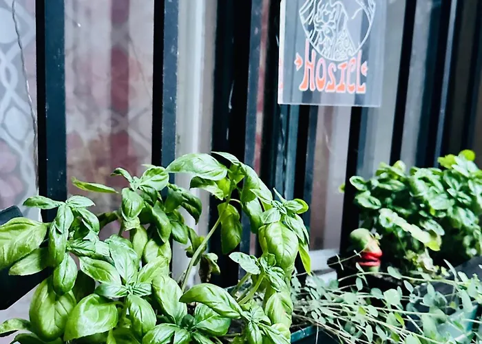 Gaia Astoria 호스텔